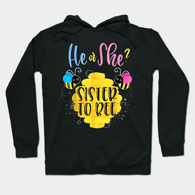 Gender Reveal For Sister Hoodie by Nifty T Shirts